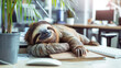tired sloth sleeping at the table in the office. fatigue, laziness and slowness at work