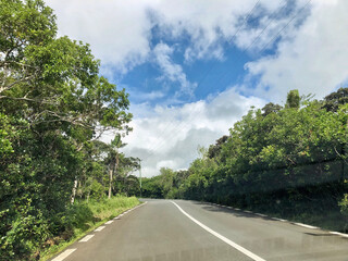 Wall Mural - Landscape near Chamarel in southern Mauritius