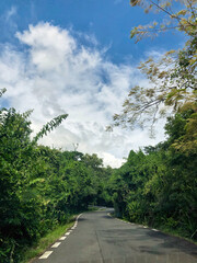 Wall Mural - Landscape near Chamarel in southern Mauritius