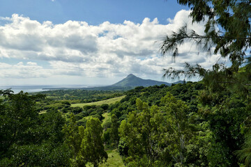 Wall Mural - Landscape near Le Morne in rural Mauritius