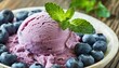 homemade organic fruit blue berry ice cream with mint