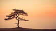a lone tree sitting on top of a sand dune at sunset with a mountain in the background.
