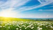 a fresh spring blue sunny sky background with blurred warm sunny glow