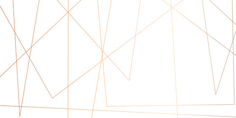 Abstract orange diagonal lines and luxury elegant pattern background .random chaotic line and creative geometric shape background .modern technology  premium line on transparent background .