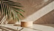 minimal product placement background with palm shadow on beige plaster wall luxury summer architecture interior aesthetic boho home room for product platform stage mockup
