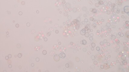 Soap bubbles on a pink background