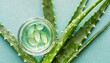aloe vera slice texture with gel on blue green background medicinal plant flat lay top view natural herbal medical plant skincare healthcare and beauty spa concept