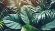 tropical leaves dark jungle background color toned process