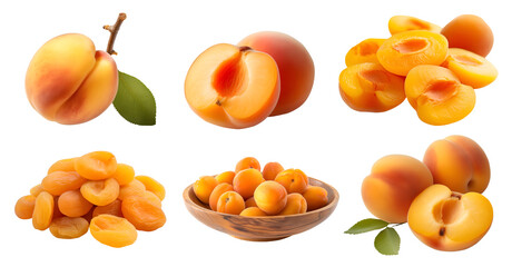 Sticker - Apricot Prunus Armenian plum fruit, many angles and view side top front sliced halved group cut isolated on transparent background cutout, PNG file. Mockup template for artwork graphic design	
