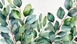 watercolor eucalyptus branch isolated on white background green floral card in watercolor with silver dollar eucalyptus leaves and branches isolated on a white background generated