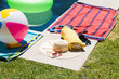 © Wavebreak Media - A colorful beach setup on the grass, with copy space