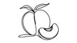 Peach fruit in continuous line art drawing style. Simple black sketch made of one line isolated on white background.