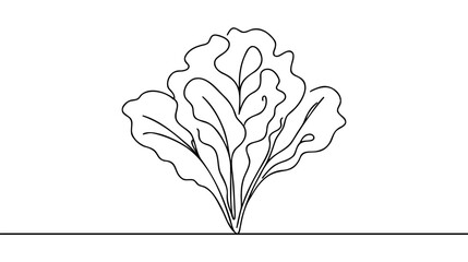 Wall Mural - One single line drawing of whole healthy organic mustard green leaves for farm logo identity.