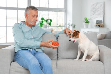 Sticker - Mature man playing with cute Jack Russell terrier on sofa at home