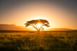 © Yann - Sun setting behind a tree in Drakensberg, South Africa
