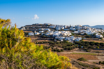 Wall Mural - View of Adamas village with white houses on green hills, Milos island, Cyclades, Greece