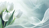 Fototapeta Tulipany - Białe kwiaty, tulipany na jasnym tle, puste miejsce, tapeta