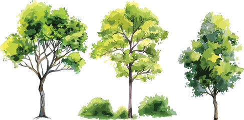 Set of watercolor green tree isolated on white background for landscape and architecture drawing, elements for environment and garden, botanical for section in spring. Watercolor trees collection