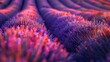 Mesmerizing motion blur of rows of lavender fields, vibrant hues create a dreamlike atmosphere in the Provencal countryside.