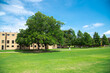 Grassy campus quad courtyard with several historic buildings in background, large meadow front yard college green space under sunny summer cloud blue sky in Texas, education, landscaping concept