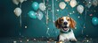 In this delightful image, a dog dons a party hat, creating a playful atmosphere as it extends a heartwarming birthday greeting, exuding charm and celebration in every wag and bark.