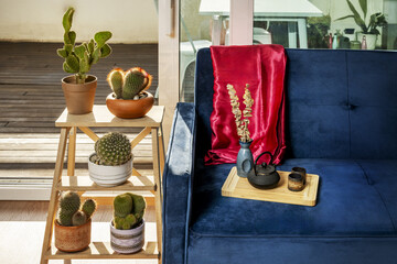 A nice blue velvet sofa with a paper book, a smartphone and colorful cushions with a tea set and a wooden ladder with several cacti