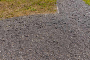 Wall Mural - part of a walkway sprinkled with small rubble and stones ecological-style park path for walking