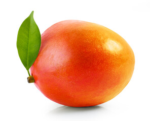 Poster - fresh ripe mango fruit