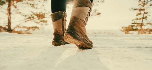 Poster - walking in the winter park