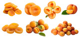 Apricot Prunus Armenian plum fruit, many angles and view side top front sliced halved group cut isolated on transparent background cutout, PNG file. Mockup template for artwork graphic design