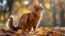 Majestic Autumn Cat In Golden Sunlight With Falling Leaves