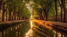 Late Spring Look On Canal Du Midi Canal In Toulouse