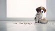 A young dog eats food from a bowl in a bright room.