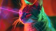 laser chase: the playful antics of a red tabby cat