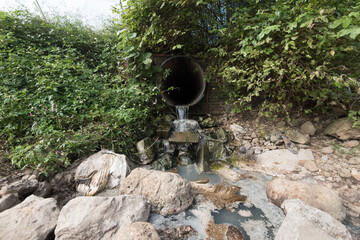 A sewage outlet in the weeds