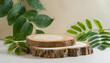 Greenery Accent: Minimal Product Display with Wood Slice Podium and Leaves