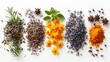 Artistic close-up of healing herbs and spices, chamomile, lavender, and cloves, on a serene white backdrop