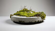 a single aerated concrete plate with moss.