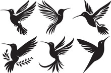 Hummingbird Silhouette Vector Illustration