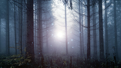 Wall Mural - Magical foggy fairy tale forest with fireflies.