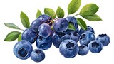 Blueberry Graphic Design: Isolated Berries and Leaves on White