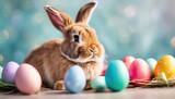 Fototapeta  - Easter bunny and colorful eggs celebration
