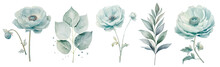 Set Watercolor Blue Ranunculus Flowers Floral Branches. Wedding Concept A White Background