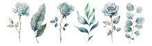 Set Watercolor Blue Roses Floral Roses Branches. Wedding Concept A White Background