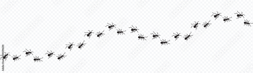 Ant trail. Little ant trail isolated on white backgrpund. Ants moving quickly in one direction. Ants moving in one row line. Group ants walk.