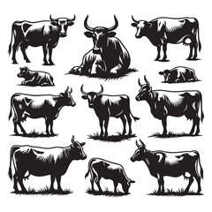 Wall Mural - Set of cow silhouettes isolated on a white background, Vector illustration.
