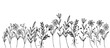 Black silhouettes of grass, flowers and herbs isolated on white background. Hand drawn sketch flowers 
