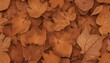 illustration of brown colored leaves of different sizes with veins placed together while making abstract background