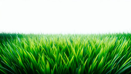 Dense green grass transitioning to a soft white haze, a concept of natural serenity. Generative AI