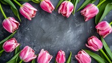Background With Pink Tulip Flowers, Floral Frame With Copyspace For Your Text. Spring Concept, Pink Colored.